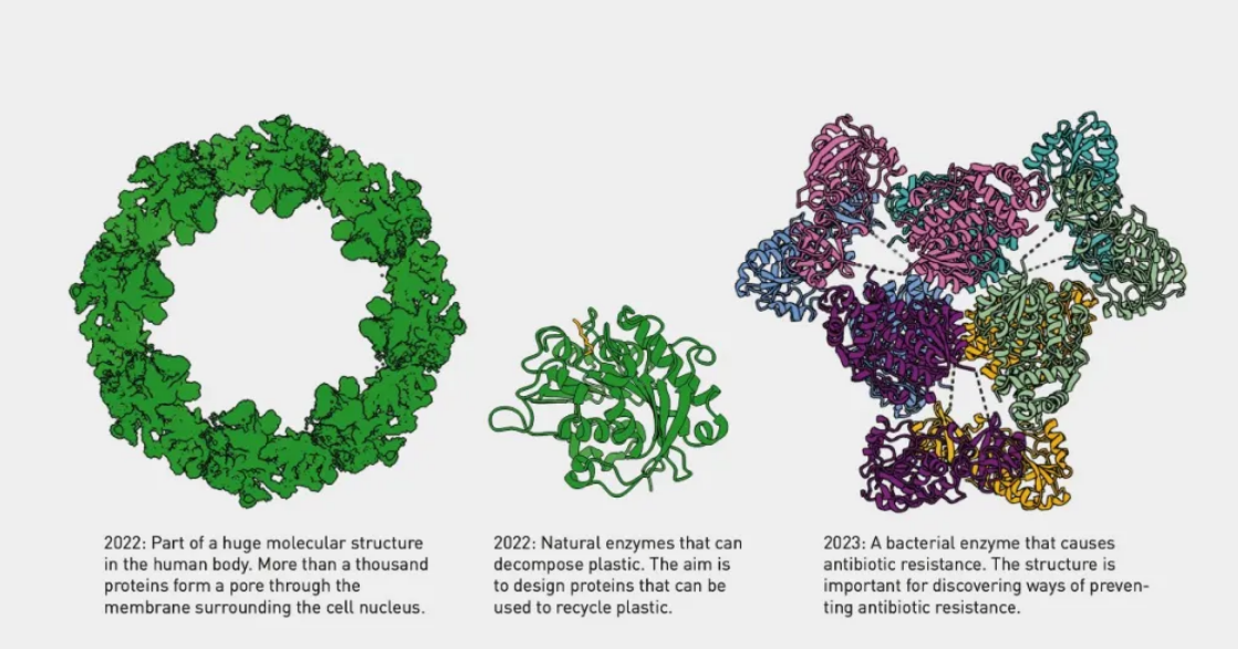 Protein structures designed using AlphaFold2