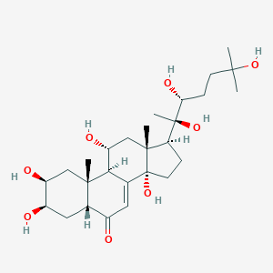 Turkesterone