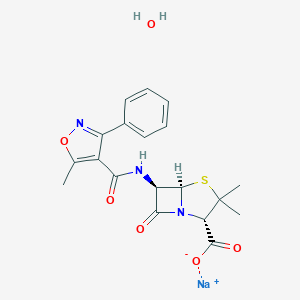 oxacillin sodium monohydrate