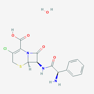 Cefaclor monohydrate