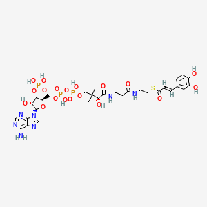 Caffeoyl-coa