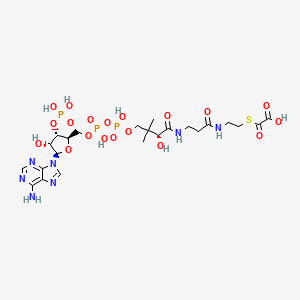 oxalyl-CoA