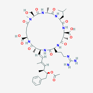 Admaadda-MS-M-LR