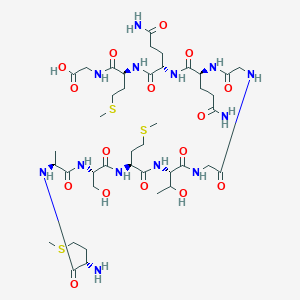 T7 Tag Peptide