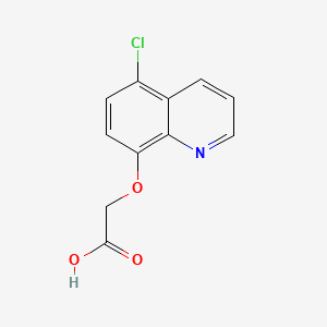 Cloquintocet