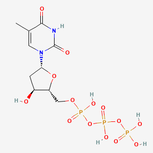 deoxythymidine-5'-triphosphate