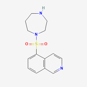 Fasudil