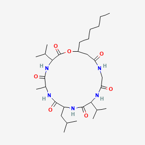 Isariin B