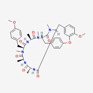 RA VII