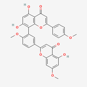 Sciadopitysin