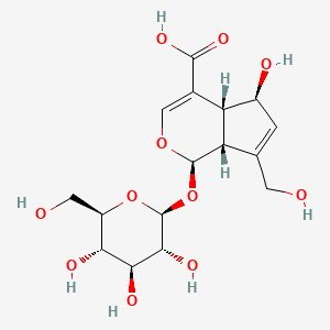 Scandoside