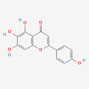 Scutellarein