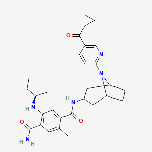 XL888